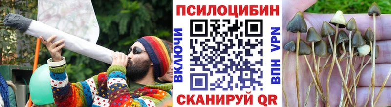 Галлюциногенные грибы MAGIC MUSHROOMS  Чёрмоз 